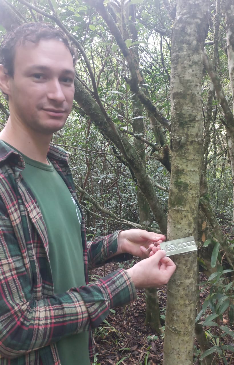 Foto colorida vertical de homem jovem e uma árvore. Ele mostra um pequena placa metálica com a identificação da espécie. Ao fundo, percebe-se que o local tem outras plantas. 