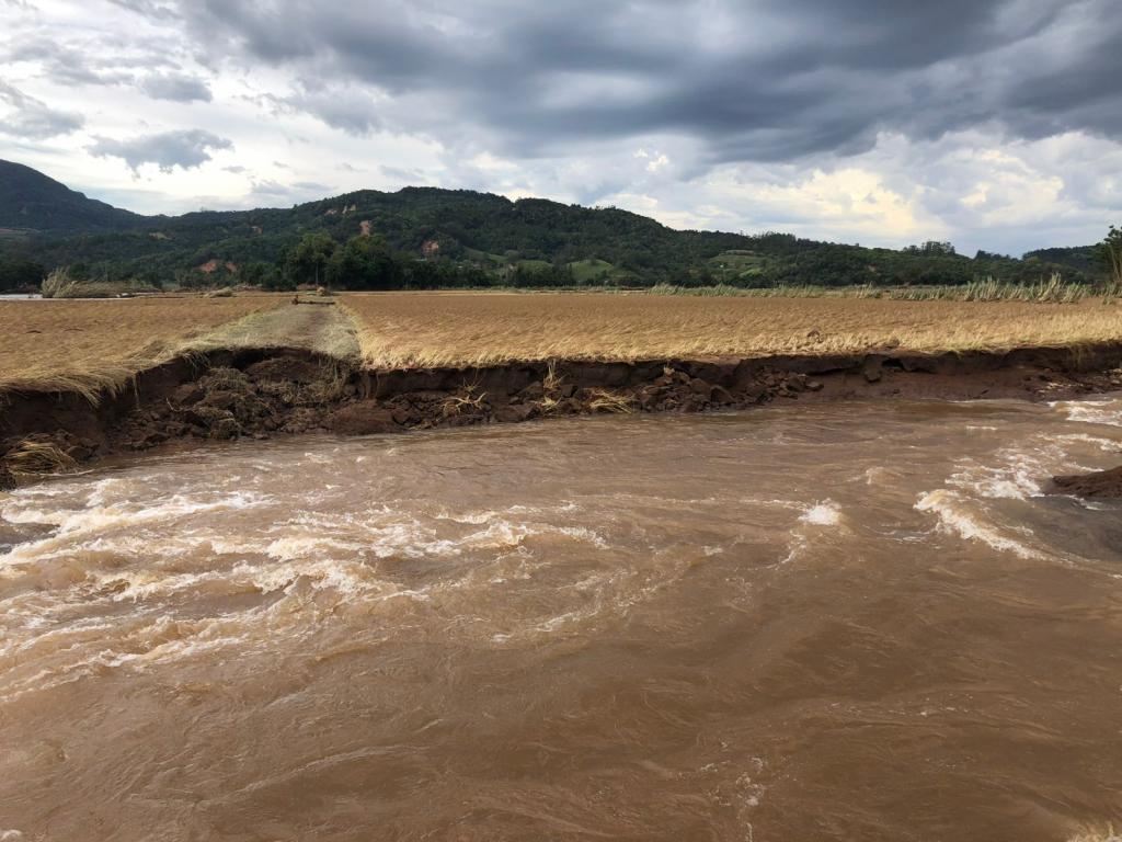 Foto horizontal colorida mostra uma forte correnteza de água barrenta avançando sobre uma plantação de arroz destruída pela enchente. A força da água abriu uma grande erosão na margem da lavoura, deixando o solo desmoronado e exposto. Ao fundo, aparecem morros cobertos por vegetação e um céu carregado de nuvens escuras.
