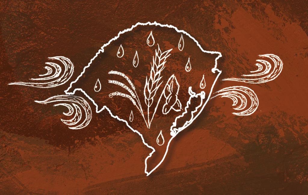 Ilustração colorida com fundo vermelho escuro e traços brancos formando o mapa do RS, com gotas de chuva e plantas dentro do mapa