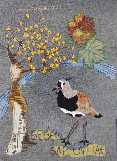 Conhecimento suturadoII