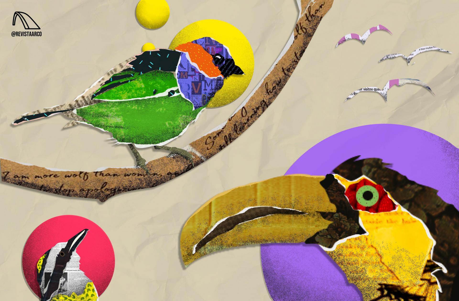 Descrição da imagem: colagem horizontal e colorida de pássaros. No canto inferior direito da imagem, em tamanho grande, cabeça de um tucano, com bico comprido e amarelo. Ele está sobre um círculo lilás. Na metade esquerda superior da imagem, pássaro sairá militar pequeno em um galho de árvore. Ele tem corpo verde e pescoço e cabeça em roxo e laranja; o bico é pequeno. Atrás, três círculos amarelos em tamanhos diferentes. No canto inferior esquerdo, um bem-te-vi pequeno, de corpo preto e detalhes em amarelo, sobre círculo rosa. No canto superior direito, três colagens de representações de quero-quero em formato de 'v'. O fundo tem textura de papel bege amassado.