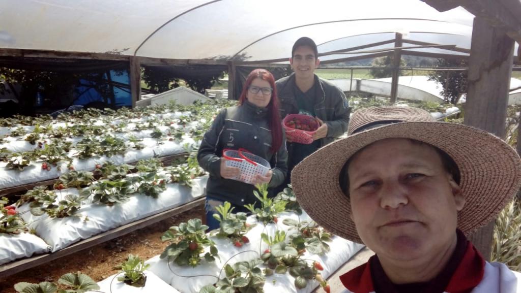 Descrição da imagem: fotografia horizontal e colorida de três pessoas em uma estufa de morangos. Há uma mulher no canto inferior direito da imagem, que usa um chapéu de palha. Atrás, canteiro com duas filas de plantas de morangos com frutas. Atrás, duas pessoas com cestas de morangos: uma mulher e um homem. Os dois usam jaquetas na cor verde militar. O fundo é o teto da estufa transparente.