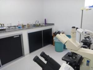 b145361c-7603-44d8-b5c0-a1b790091b94-1