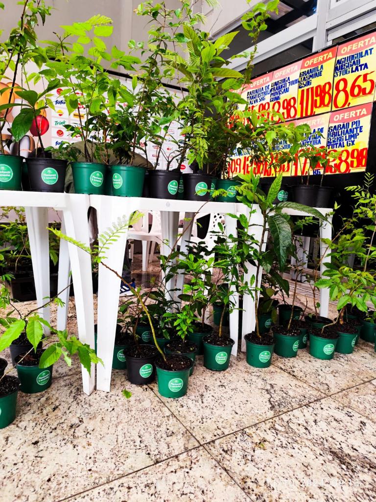 WhatsApp Image 2024-10-11 at 14.18.46