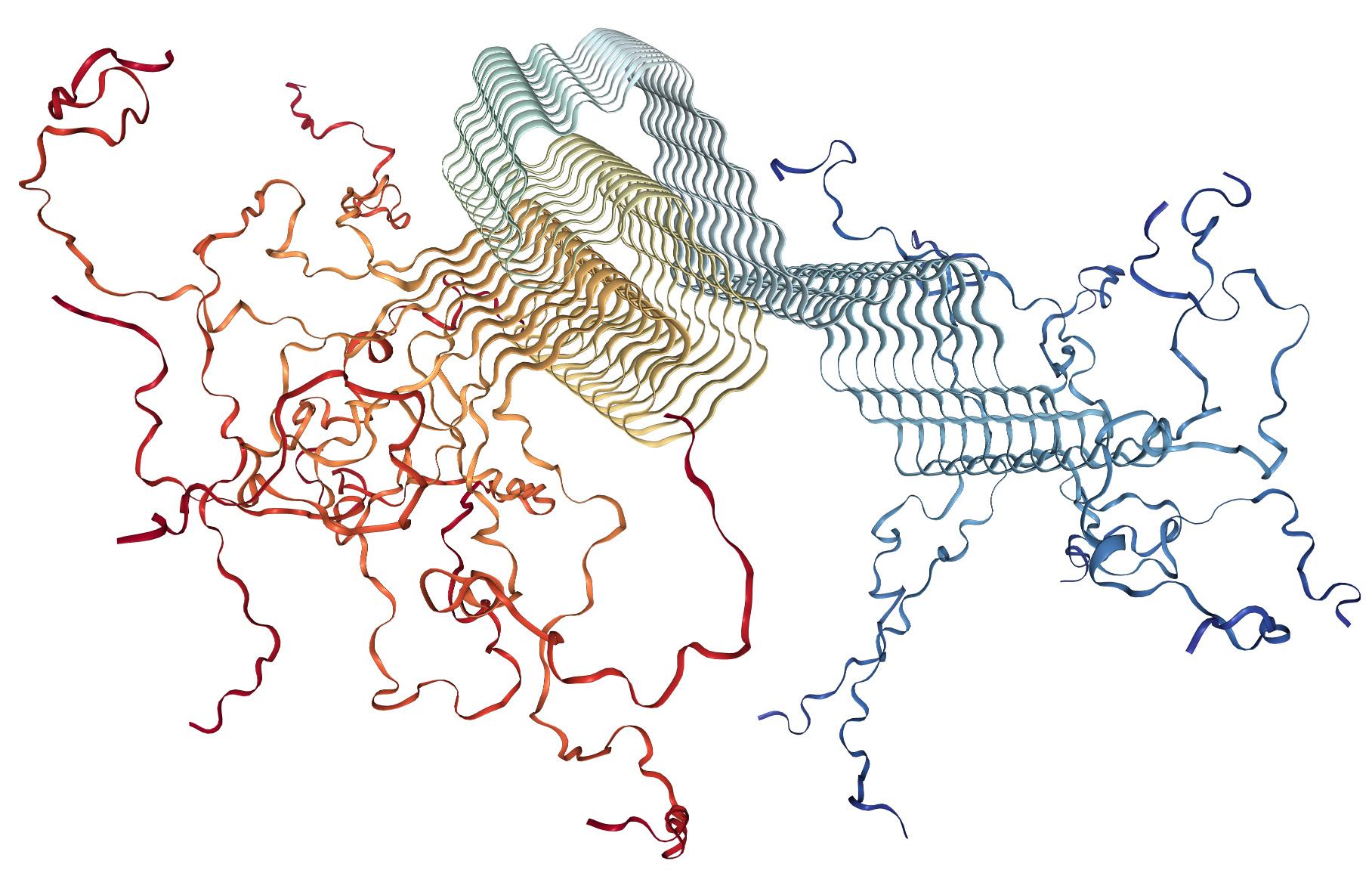 Estrutura tridimensional da α-sinucleína prevista pelo AlphaFold 2.