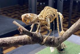 FEB851BD-11E3-44FB-ABF2-632EA60B2A7F